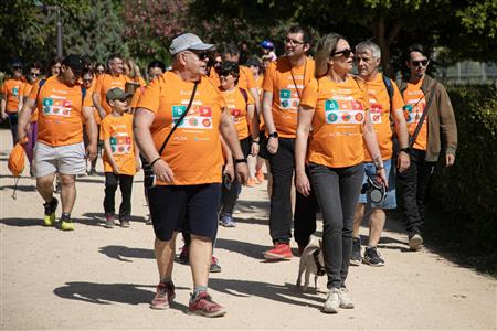 Voluntario/a alce epilepsia