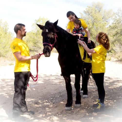 Voluntario/a en terapias con caballos para personas con diversidad funcional
