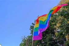 Voluntariado para sevilla diversidad (asociación provincial lgbt)
