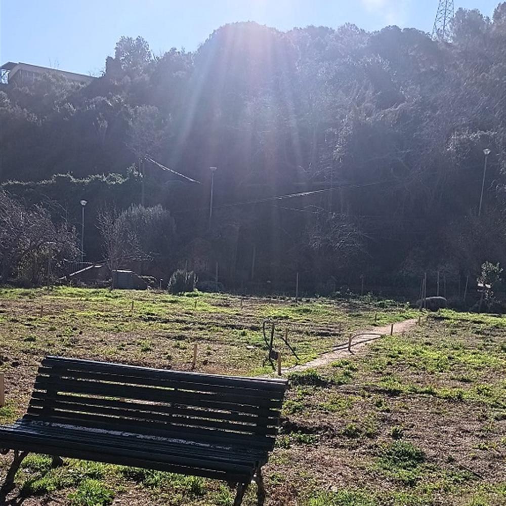 Busquem voluntari/a per gestionar un hort comunitari!