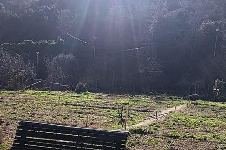 Busquem voluntari/a per gestionar un hort comunitari!