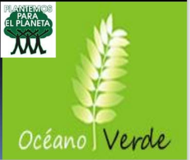 Buscamos equipo pionero para reactivar ong océano verde: reforestación 