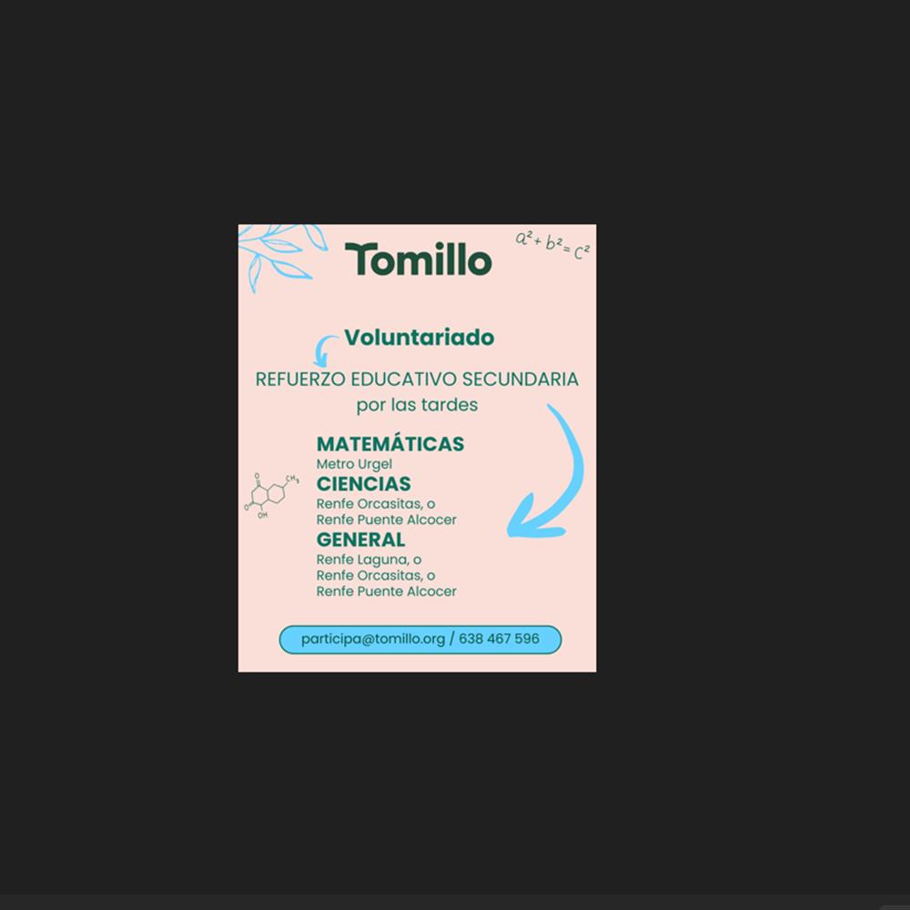 Tomillo: voluntariado apoyo educativo de secundaria