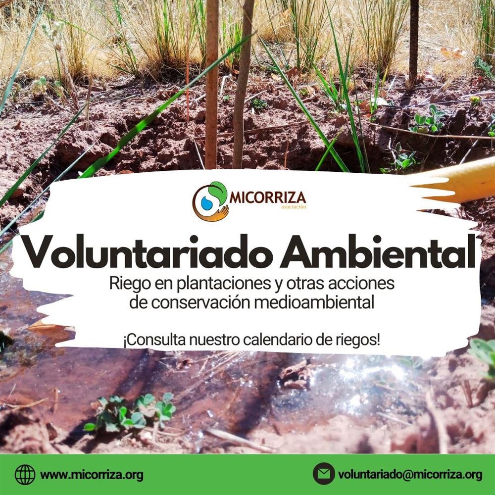 Voluntariado ambiental de riegos en áreas de restauración ecológica