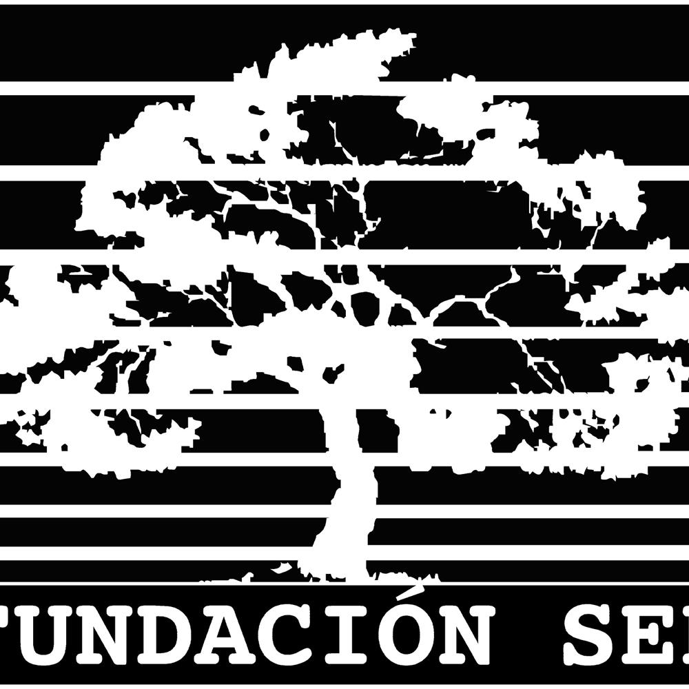 Actividades de ocio y tiempo libre con personas con discapacidad intelectual