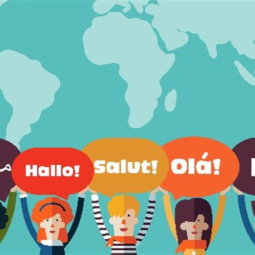 Voluntariat docents acollida lingüística castellà i català matins o tardas 2019