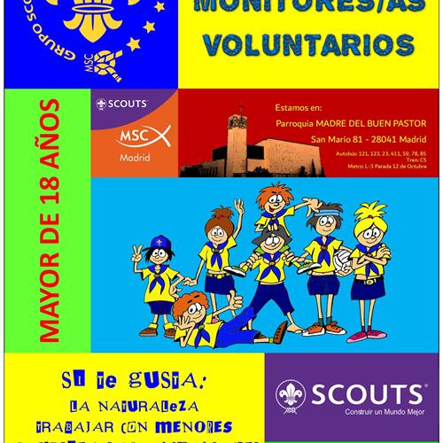 Voluntario/a para monitor grupo scout