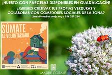 Voluntariado para parcelas en huertos solidarios