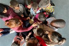 Voluntariado sensibilización & movilización alicante y murcia