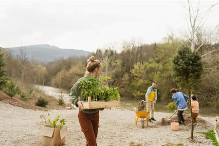 Voluntariado: activismo legal para el desarrollo sostenible.
