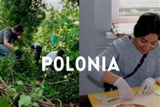 Beca ces 100% financiado -  placement officer con el sci polonia en Polonia