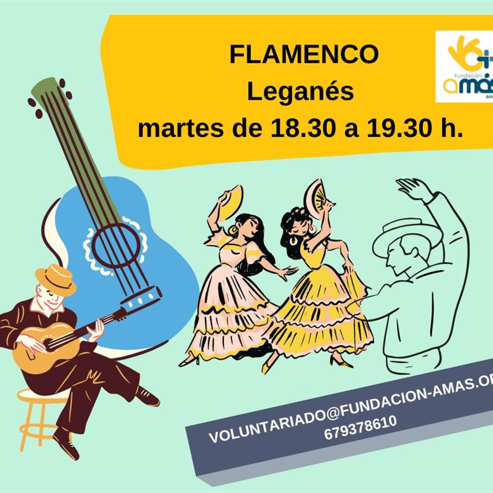 Voluntariado en leganés flamenco