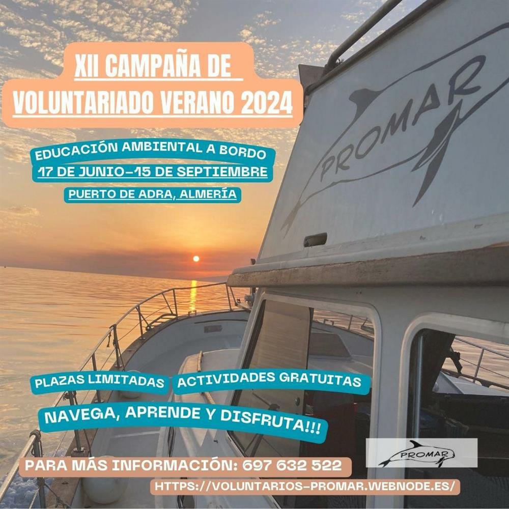 12º campaña de voluntariado 2024