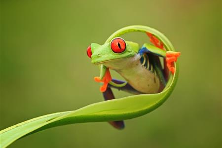 "¡Únete a nuestro equipo de diseño ui/ux! voluntariado creativo y flexible"