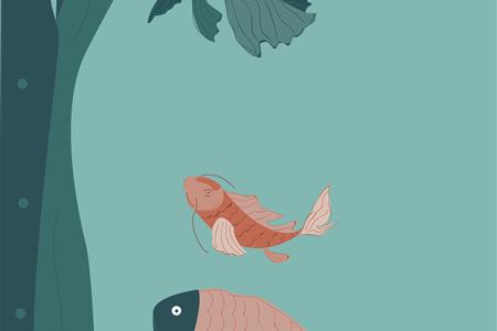 Ilustradores o diseñadores realizar fichas didácticas especies e infografías del ecosiste mar menor 