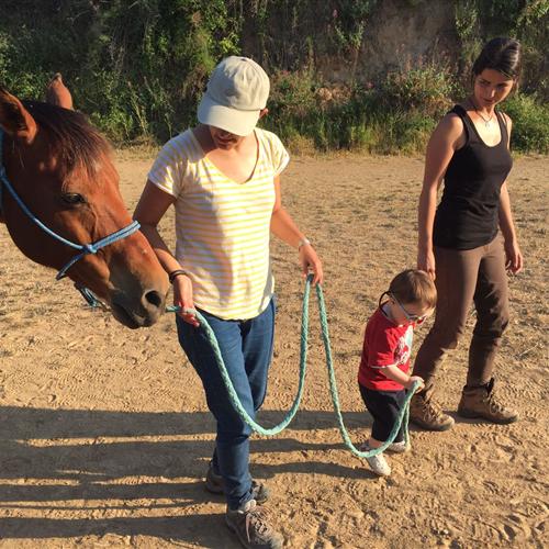 Voluntariado terapia asistida con caballo