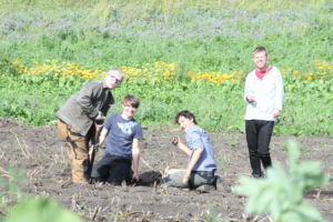 Servicio voluntario europeo. Noruega, agricultura, personas con discapacidad  - 11 meses duración