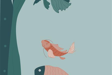 Ilustradores o diseñadores realizar fichas didácticas especies e infografías del ecosiste mar menor 