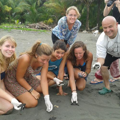 Programa de protección de las tortugas y conservación ambiental en Costa Rica