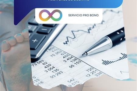 Auditora externa de cuentas