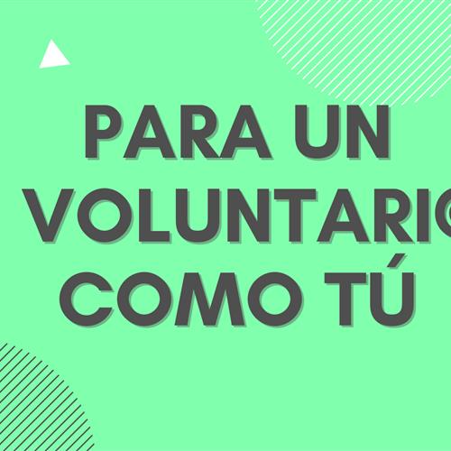 Voluntariado apoyo creación de contenido