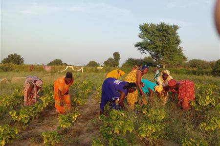 Diseño gráfico proyectos cooperación internacional y sensibilidación globalización justicia social 