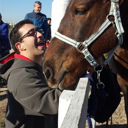 Voluntariado para sesiones de terapia con caballos con adultos