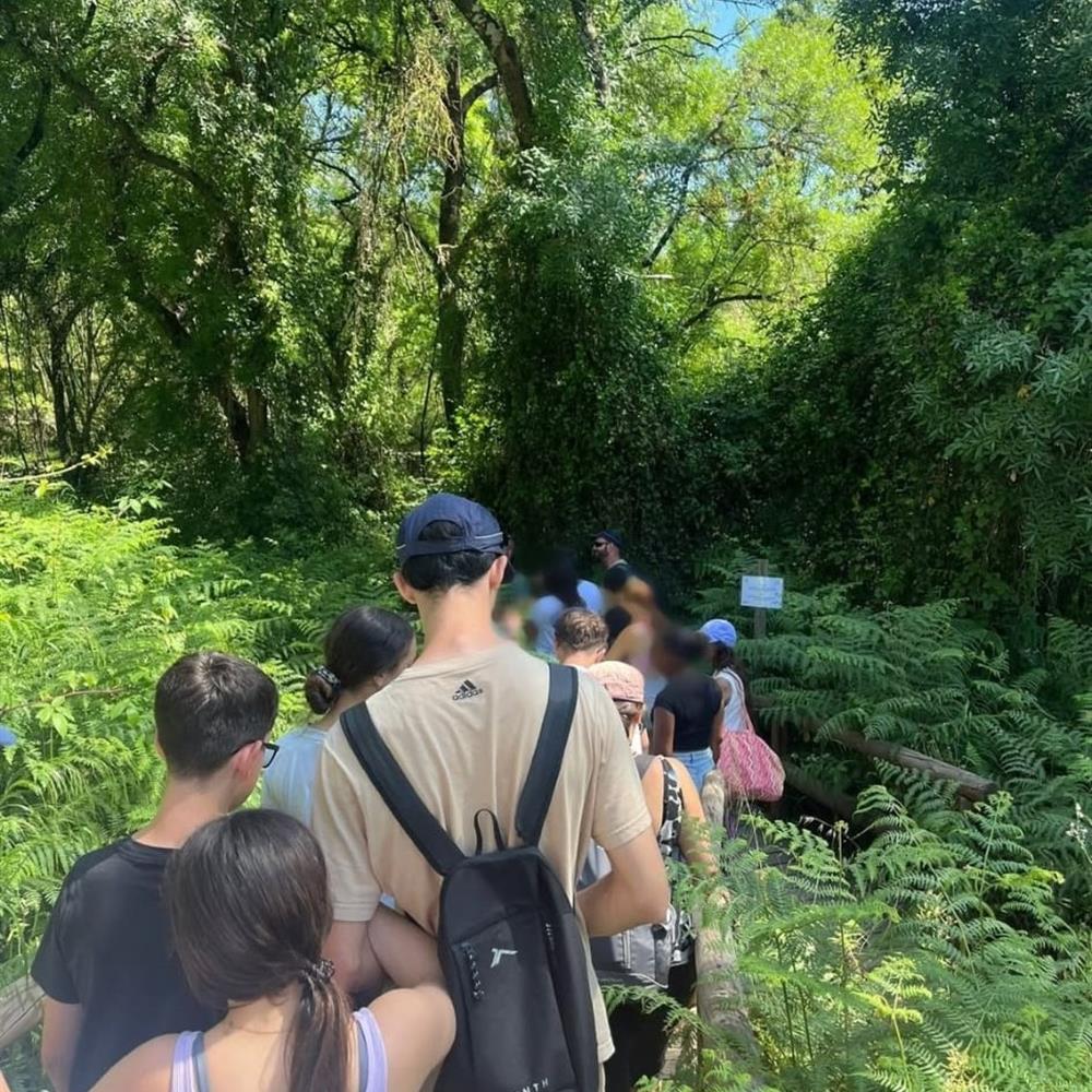 Voluntariado en centros de protección de menores.
