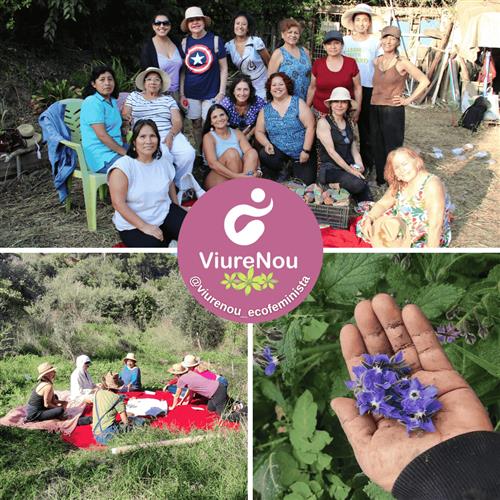 Voluntariado virtual en diseño y desarrollo web para organización social feminista