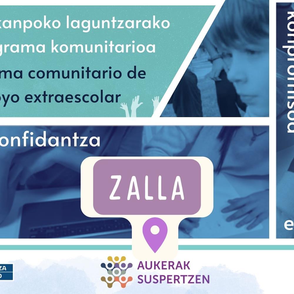Voluntariado de refuerzo extraescolar en zalla