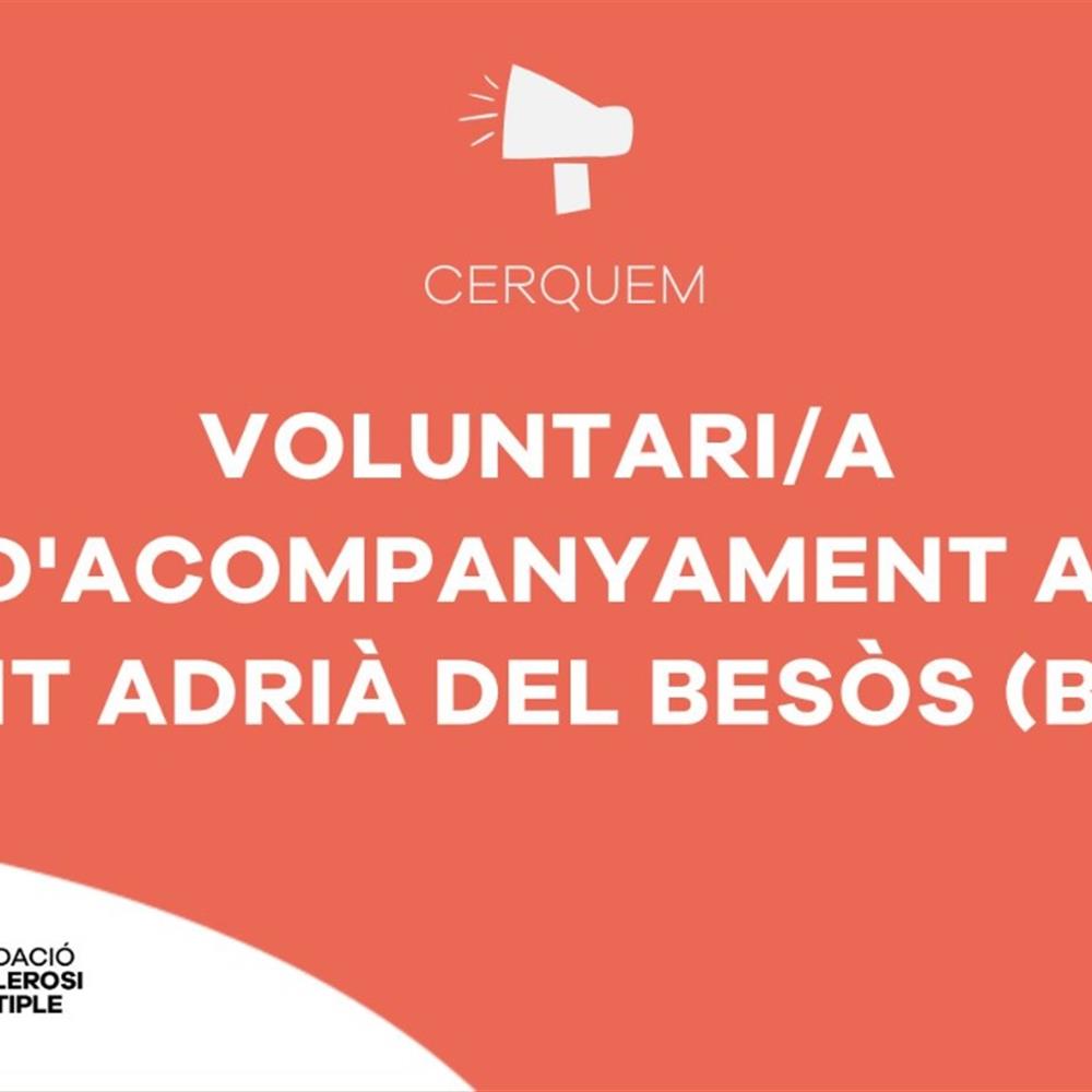Acompanyament a sant adrià 