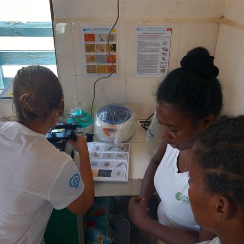 Responsable departamento salud para Madagascar