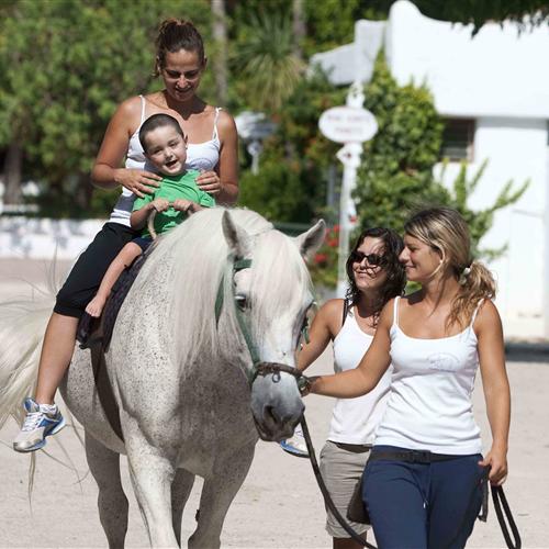 Acompañante en terapias asistidas con caballos a personas con discapacidad.