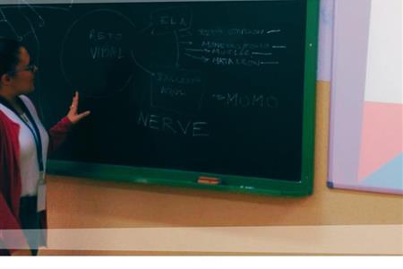 Intervención social