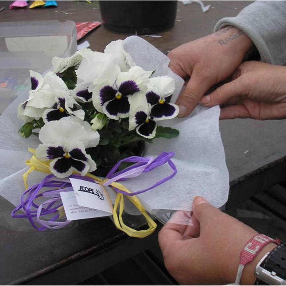 Voluntariado con mujeres presas