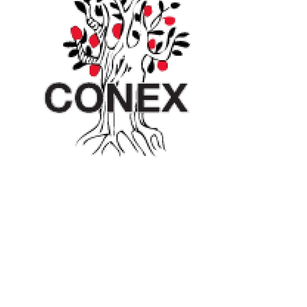 Voluntario/a con experiencia en diseño gráfico