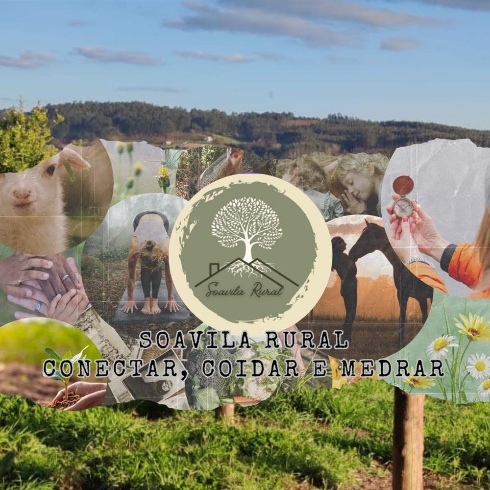 Voluntariado en carral 