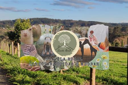 Voluntariado en carral 