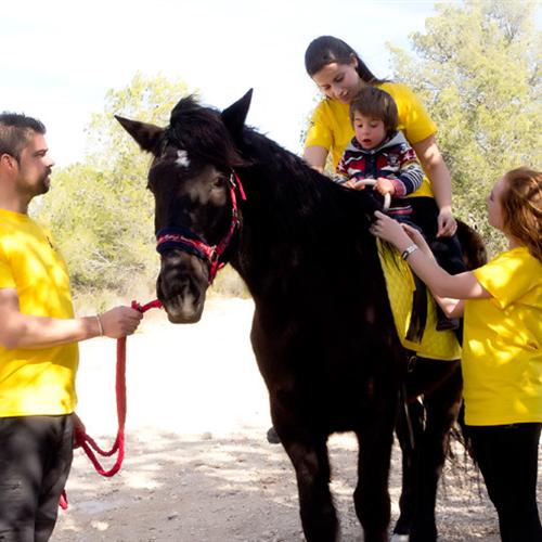 Voluntario/a en terapias con caballos para personas con diversidad funcional