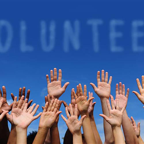 Voluntarias/os para fotografía y vídeos en fundación tomillo
