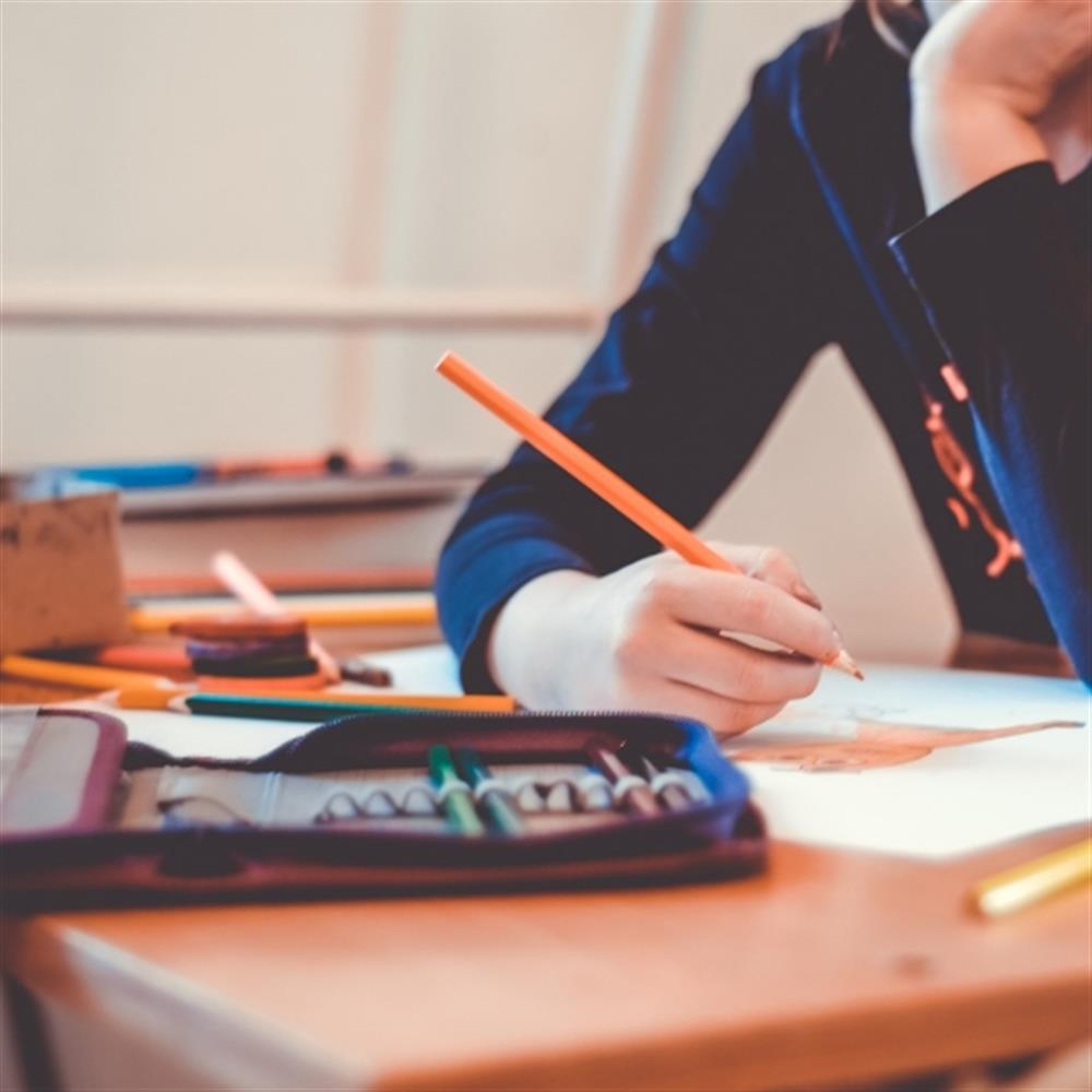 Profesor/a apoyo mujeres preparación graduado