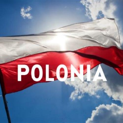 Beca ces 100% financiado -  apoyar un centro cultural para niños/as, jóvenes y/o adultos en Polonia
