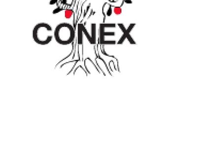 Voluntario/a con experiencia en diseño gráfico
