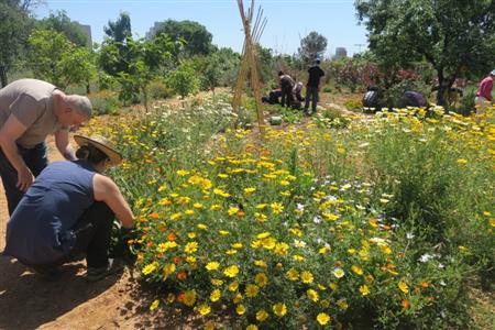 Persones voluntàries per formar part del nostre hort comunitari de salut mental