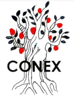 Voluntario/a   recepción oficinas