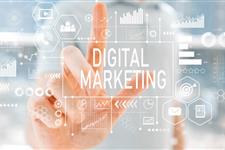 Voluntario/a especialista en marketing digital