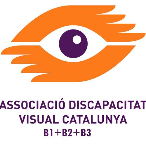 Voluntariat a l' associació discapacitat visual catalunya: b1+b2+b3