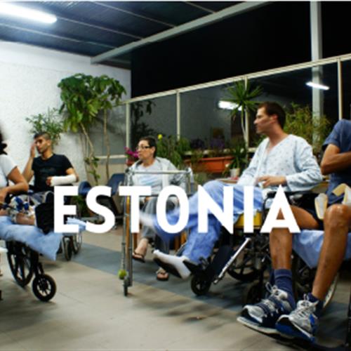Beca ces 100% financiado - adultos con necesidades especiales en Estonia