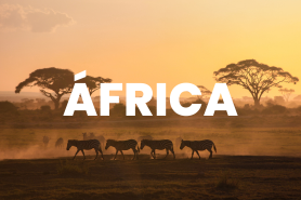Africa_voluntariado