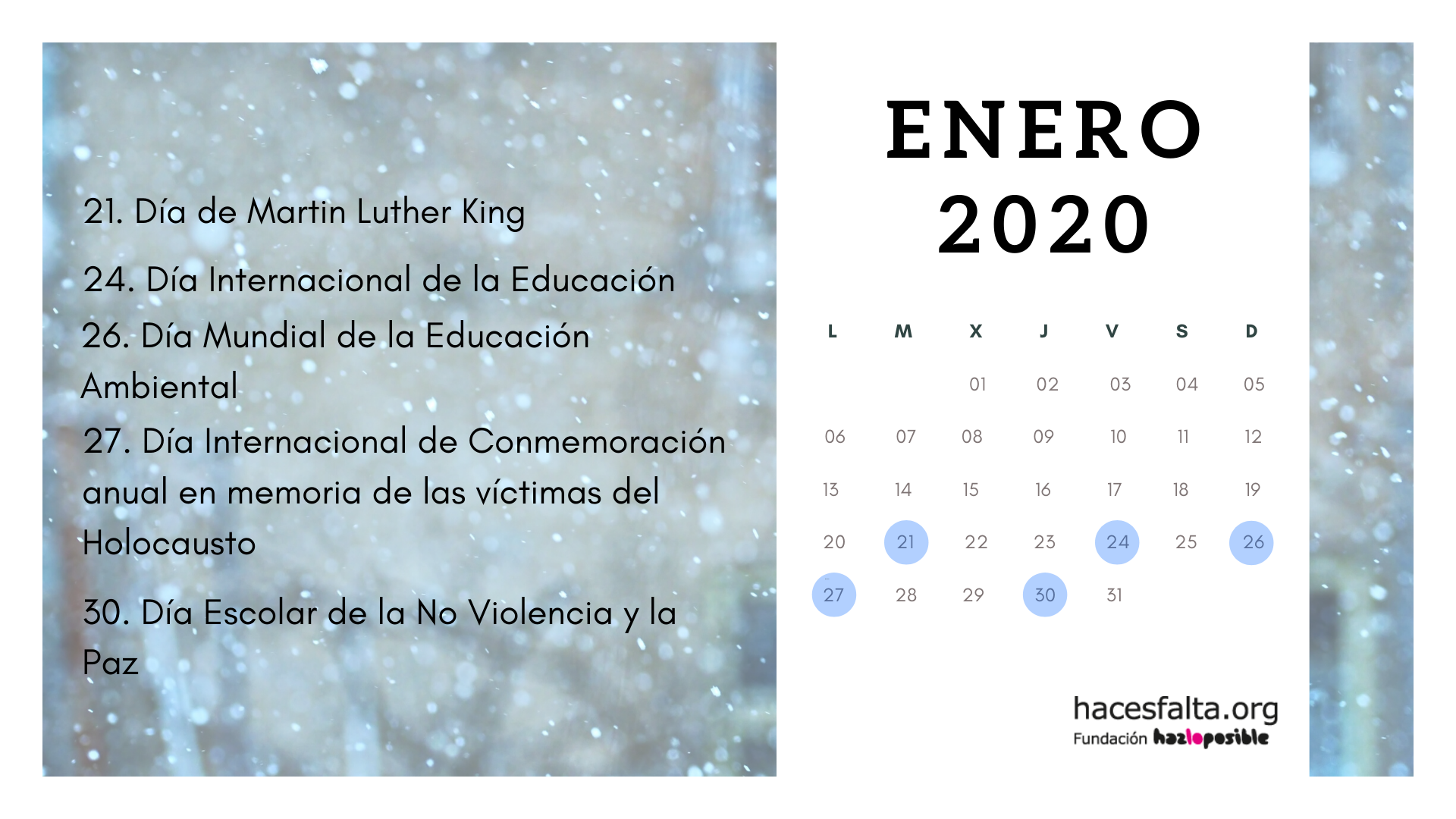 enero_solidario